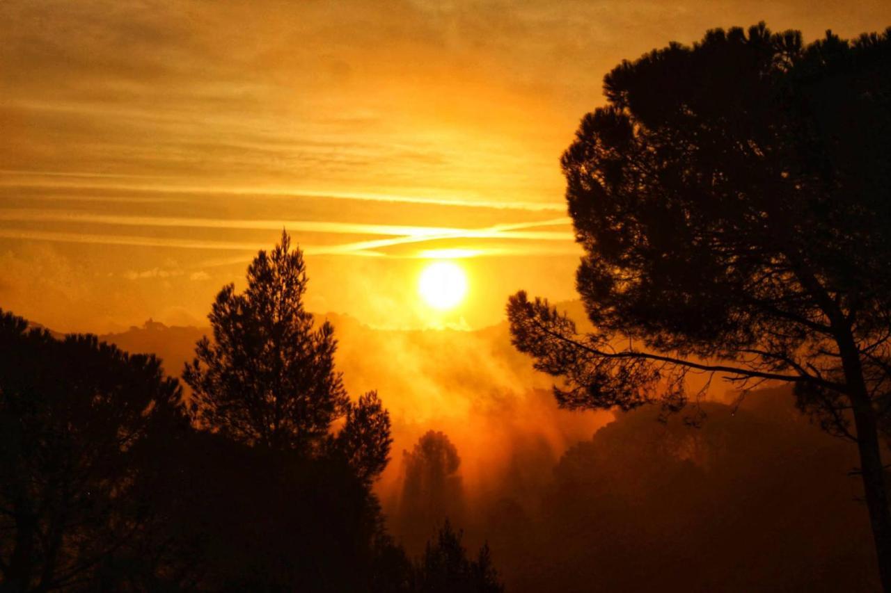 Hauzify I Ca La Nena Morena Villalba Saserra Buitenkant foto