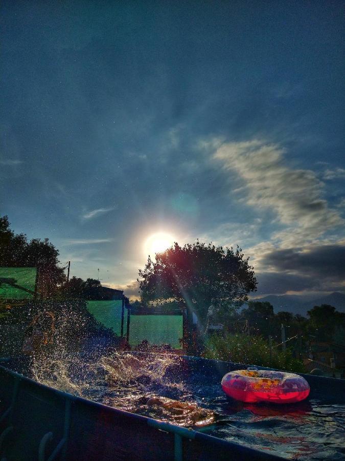 Hauzify I Ca La Nena Morena Villalba Saserra Buitenkant foto